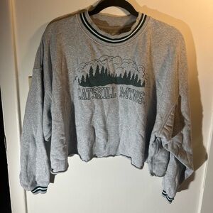 American Eagle Catskills Mountain crewneck